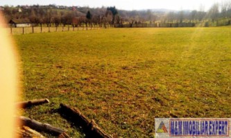 teren-extravilan-3569-mp-faneata-de-vanzare-in-bughea-de-sus-ideal-pentru-activitati-agricole-15