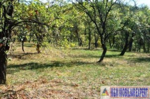 teren-3200-mp-intravilan-cetateni-arges