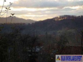 teren-3200-mp-intravilan-cetateni-arges-1