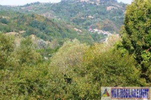 teren-3200-mp-intravilan-cetateni-arges-2