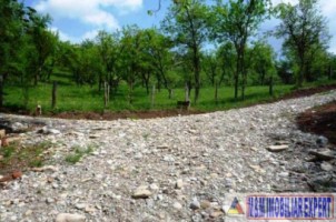 teren-3200-mp-intravilan-cetateni-arges-3