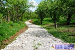 teren-3200-mp-intravilan-cetateni-arges-4