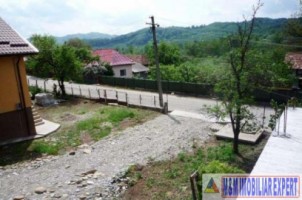 teren-3200-mp-intravilan-cetateni-arges-5