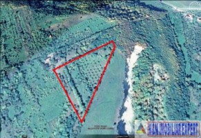teren-extravilan-de-312-ha-ideal-pentru-dezvoltari-rezidentiale-sau-comerciale-situat-in-campulung-muscel-arges