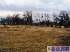 teren-intravilan-de-7200-mp-in-stoenesti-piatra-ideal-pentru-dezvoltare-rezidentiala