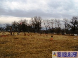 teren-intravilan-de-7200-mp-in-stoenesti-piatra-ideal-pentru-dezvoltare-rezidentiala-1
