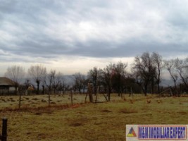 teren-intravilan-de-7200-mp-in-stoenesti-piatra-ideal-pentru-dezvoltare-rezidentiala-2