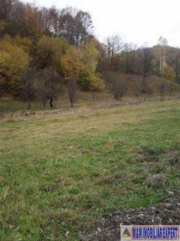 teren-2000-mp-intravilan-stoenesti-arges