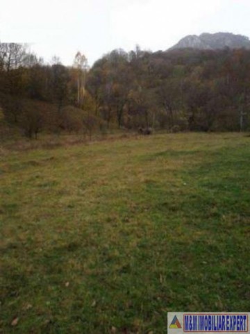 teren-2000-mp-intravilan-stoenesti-arges-1