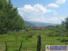nu-mai-vinde-5