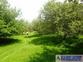 teren-livada-de-vanzare-125-ha-extravilan-in-cretisoara-campulung-muscel-arges-ideal-pentru-agricultura-si-investitie
