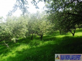 teren-livada-de-vanzare-125-ha-extravilan-in-cretisoara-campulung-muscel-arges-ideal-pentru-agricultura-si-investitie-1