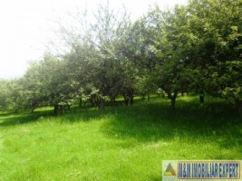 teren-livada-de-vanzare-125-ha-extravilan-in-cretisoara-campulung-muscel-arges-ideal-pentru-agricultura-si-investitie-4