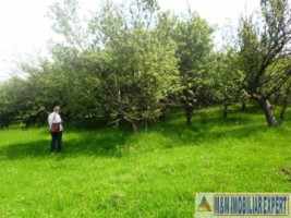 teren-livada-de-vanzare-125-ha-extravilan-in-cretisoara-campulung-muscel-arges-ideal-pentru-agricultura-si-investitie-5