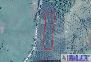 teren-livada-de-vanzare-125-ha-extravilan-in-cretisoara-campulung-muscel-arges-ideal-pentru-agricultura-si-investitie-9