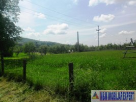 teren-intravilan-de-2800-mp-in-apa-sarata-campulung-muscel-ideal-pentru-constructii-rezidentiale-1