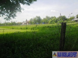 teren-intravilan-de-2800-mp-in-apa-sarata-campulung-muscel-ideal-pentru-constructii-rezidentiale-4