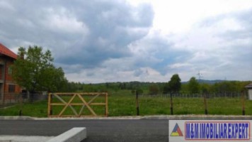 teren-de-vanzare-2500-mp-intravilan-in-calea-pietroasa-campulung-muscel-arges-ideal-pentru-constructii-rezidentiale