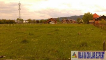 teren-de-vanzare-2500-mp-intravilan-in-calea-pietroasa-campulung-muscel-arges-ideal-pentru-constructii-rezidentiale-1