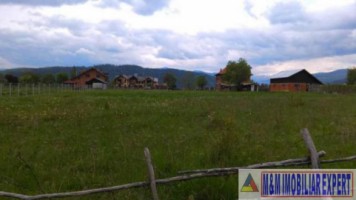 teren-de-vanzare-2500-mp-intravilan-in-calea-pietroasa-campulung-muscel-arges-ideal-pentru-constructii-rezidentiale-2