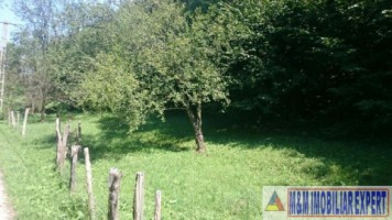 teren-intravilan-2574-mp-de-vanzare-in-valea-barbusii-campulung-muscel-arges-ideal-pentru-constructii-rezidentiale