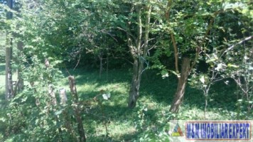 teren-intravilan-2574-mp-de-vanzare-in-valea-barbusii-campulung-muscel-arges-ideal-pentru-constructii-rezidentiale-1