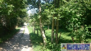 teren-intravilan-2574-mp-de-vanzare-in-valea-barbusii-campulung-muscel-arges-ideal-pentru-constructii-rezidentiale-6