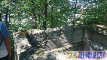 teren-intravilan-2574-mp-de-vanzare-in-valea-barbusii-campulung-muscel-arges-ideal-pentru-constructii-rezidentiale-11