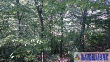 teren-intravilan-2574-mp-de-vanzare-in-valea-barbusii-campulung-muscel-arges-ideal-pentru-constructii-rezidentiale-8