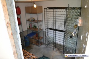 vila-casa-de-vacanta-3-camere-teren-1400-mp-valea-mare-pravat-16