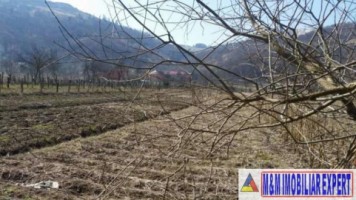 teren-intravilan-de-1800-mp-in-stoenesti-lunca-gartii-arges-ideal-pentru-constructie-rezidentiala-1
