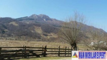 teren-intravilan-de-1800-mp-in-stoenesti-lunca-gartii-arges-ideal-pentru-constructie-rezidentiala-2