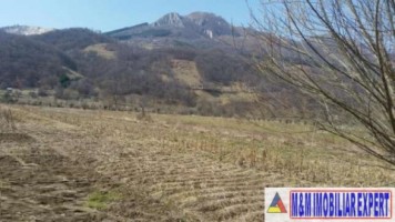teren-intravilan-de-1800-mp-in-stoenesti-lunca-gartii-arges-ideal-pentru-constructie-rezidentiala-3
