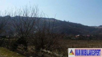 teren-intravilan-de-1800-mp-in-stoenesti-lunca-gartii-arges-ideal-pentru-constructie-rezidentiala-6