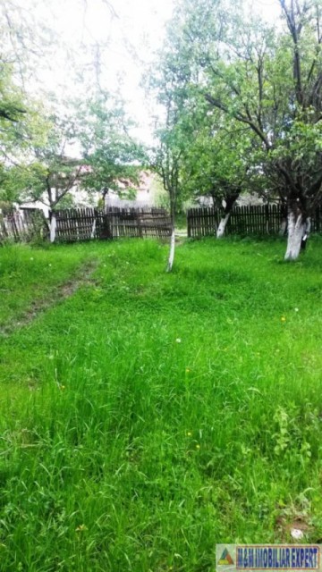 teren-intravilan-de-4800-mp-zona-linistita-cu-pomi-fructiferi-ideal-pentru-casa-sau-tabara-valea-mare-pravat-arges-1