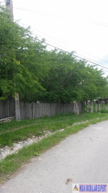 teren-intravilan-de-4800-mp-zona-linistita-cu-pomi-fructiferi-ideal-pentru-casa-sau-tabara-valea-mare-pravat-arges-2
