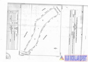 teren-intravilan-de-4800-mp-zona-linistita-cu-pomi-fructiferi-ideal-pentru-casa-sau-tabara-valea-mare-pravat-arges-3