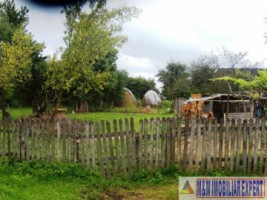 teren-800-mp-intravilan-campulung-4