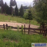 teren-intravilan-de-1-ha-de-vanzare-in-valea-cheii-dambovicioara-arges-8