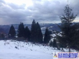 teren-intravilan-de-1-ha-de-vanzare-in-valea-cheii-dambovicioara-arges-10
