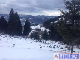 teren-intravilan-de-1-ha-de-vanzare-in-valea-cheii-dambovicioara-arges-11