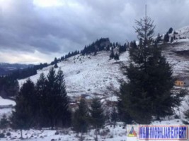 teren-intravilan-de-1-ha-de-vanzare-in-valea-cheii-dambovicioara-arges-12