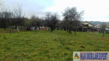 vand-teren-intravilan-2400-mp-in-schitu-golesti-arges-3