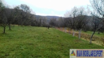 vand-teren-intravilan-2400-mp-in-schitu-golesti-arges-4