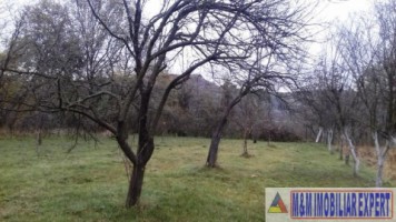 vand-teren-intravilan-2400-mp-in-schitu-golesti-arges-5