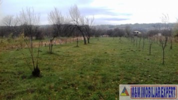 vand-teren-intravilan-2400-mp-in-schitu-golesti-arges-6