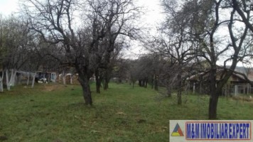 vand-teren-intravilan-2400-mp-in-schitu-golesti-arges-8