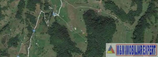 teren-1000-mp-intravilan-dambovicioara-3