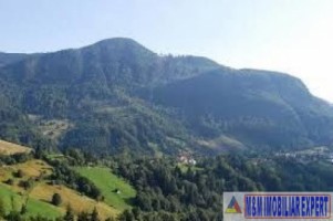 casa-stil-cu-8-camere-si-teren-de-1100-mp-de-vanzare-rucar-arges-5