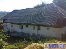 casa-4-camere-teren-831-mp-domnesti-pietrosani-4